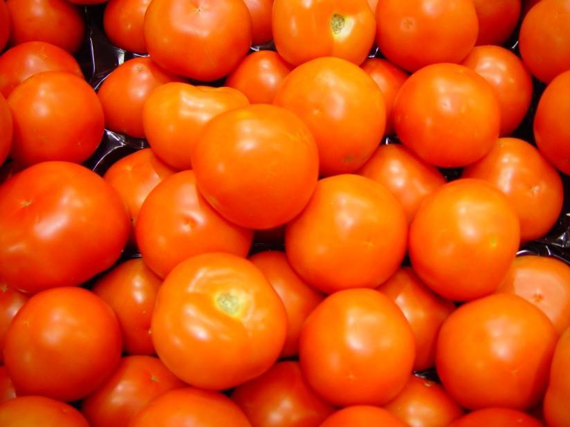 tomates Photo tomates
