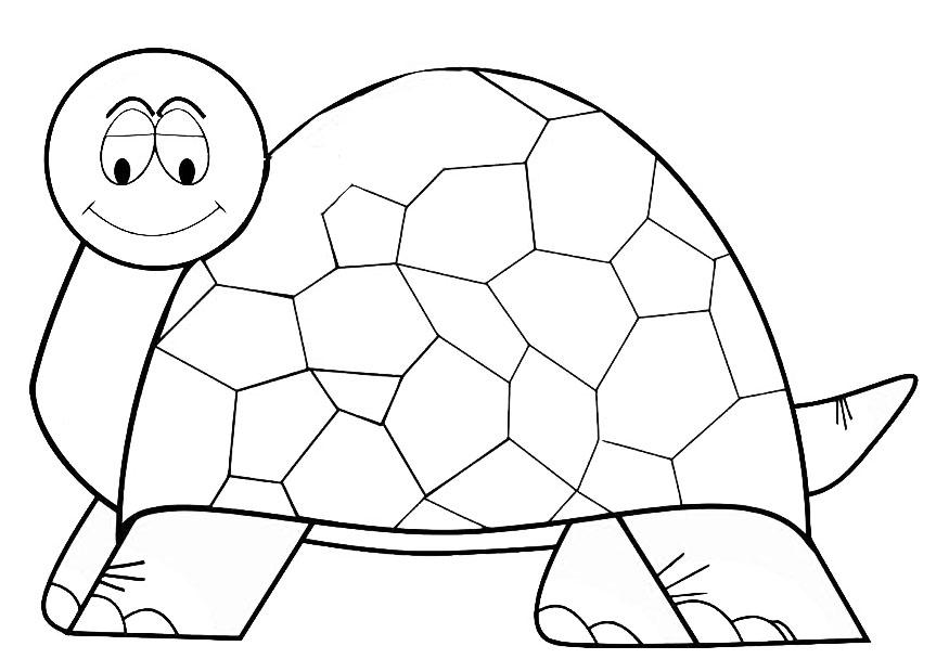 tortue Coloriage tortue