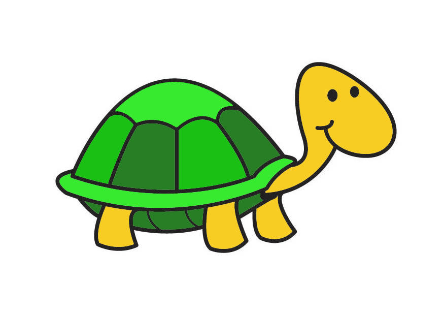 tortue Image tortue