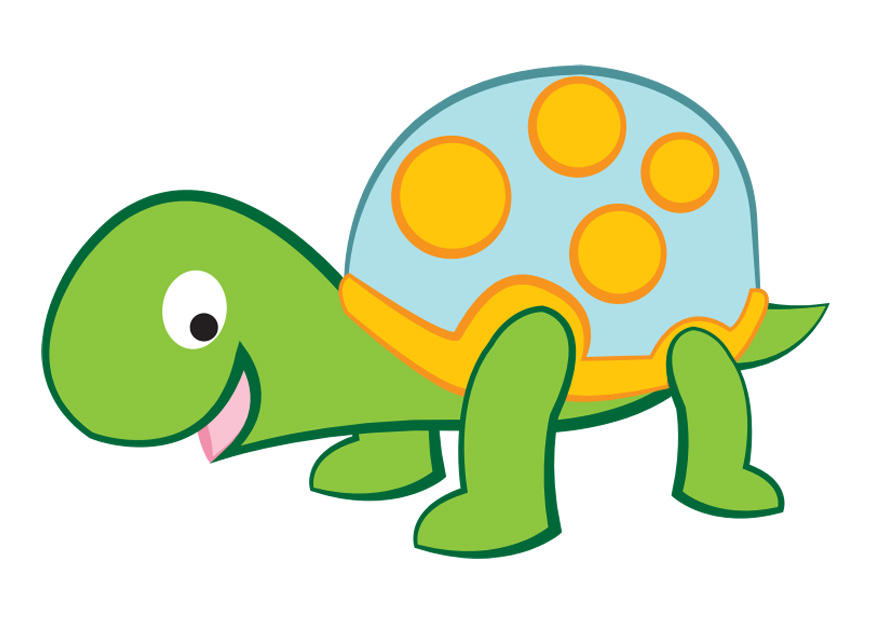 tortue Image tortue
