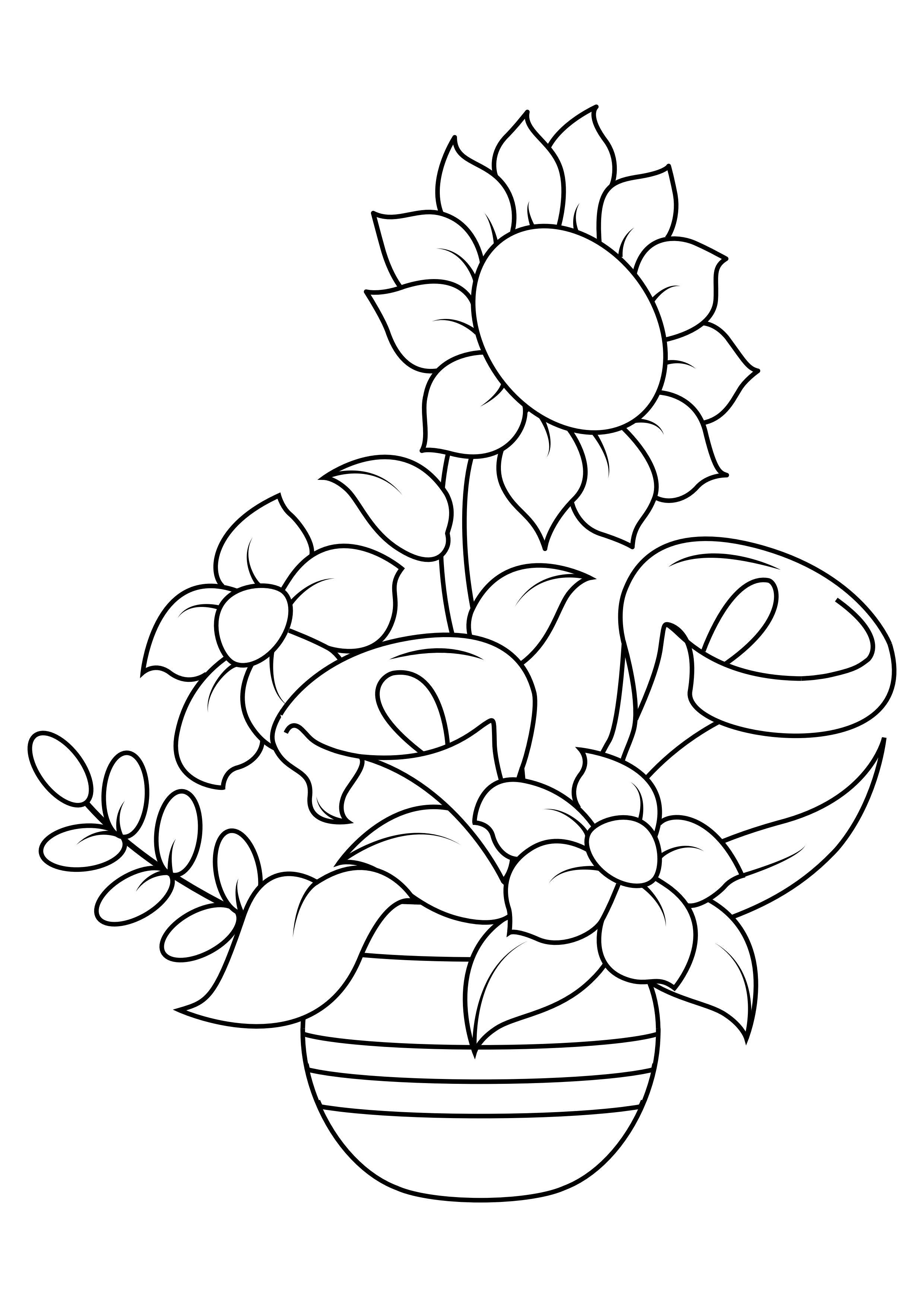 tournesol Coloriage tournesol