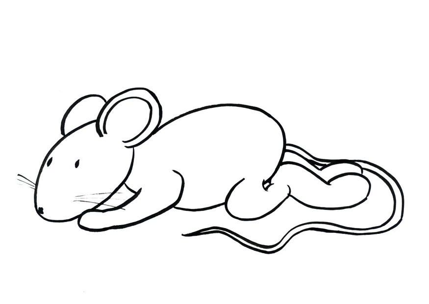 transi, la souris Coloriage transi, la souris