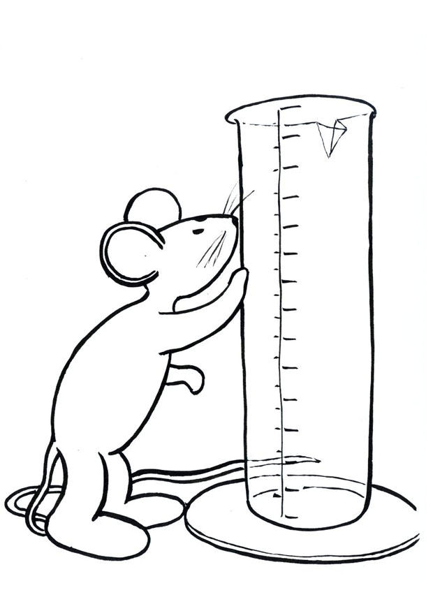 transis, la souris Coloriage transis, la souris