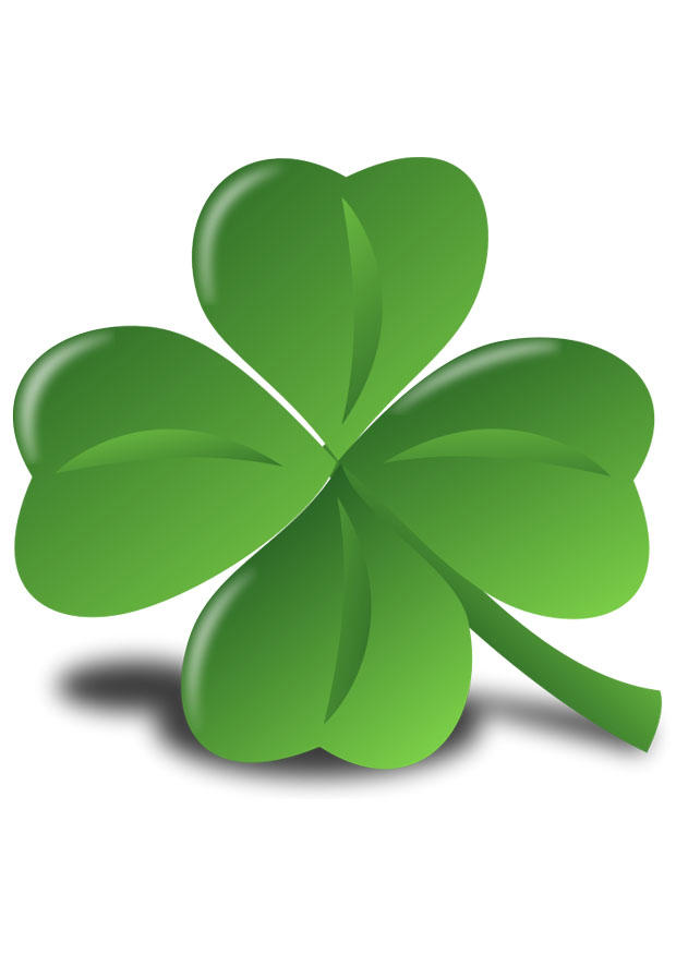 trA¨fle irlandais - shamrock Image trA¨fle irlandais - shamrock