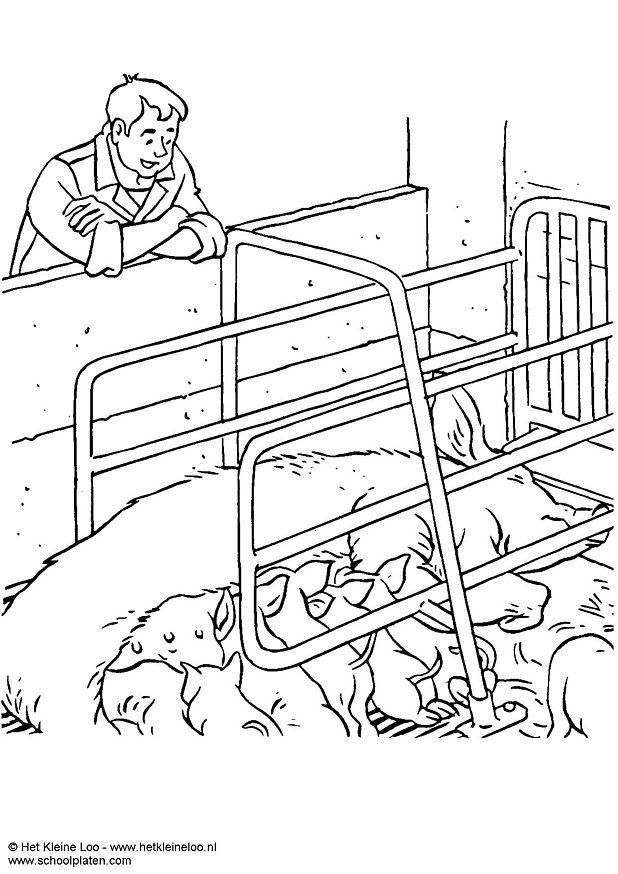 truie Coloriage truie