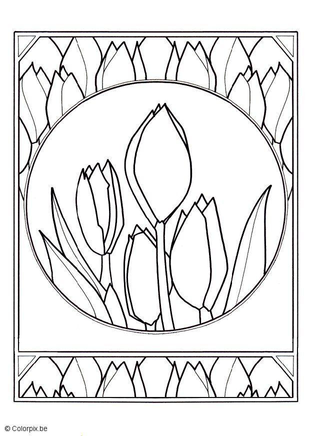 tulipes Coloriage tulipes