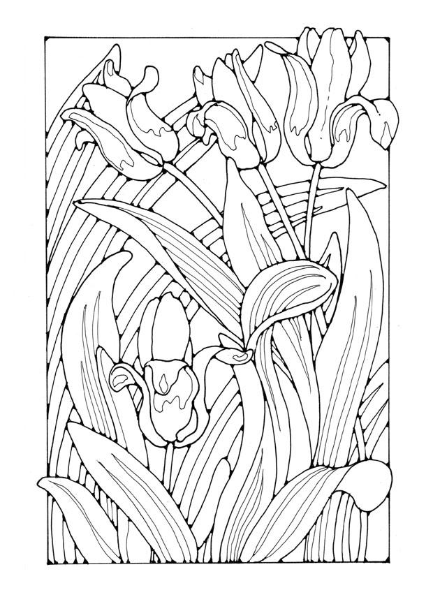 tulipes Coloriage tulipes