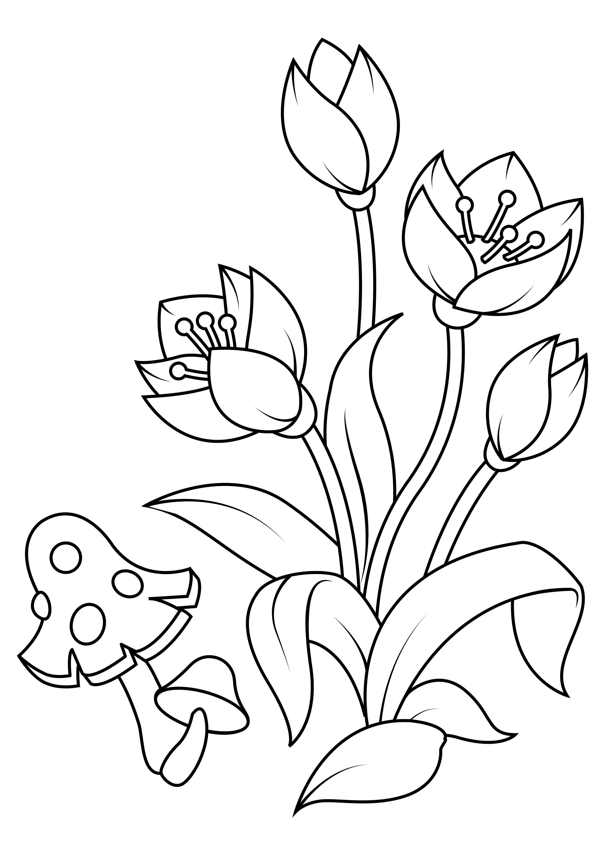 tulipes aux champignons Coloriage tulipes aux champignons