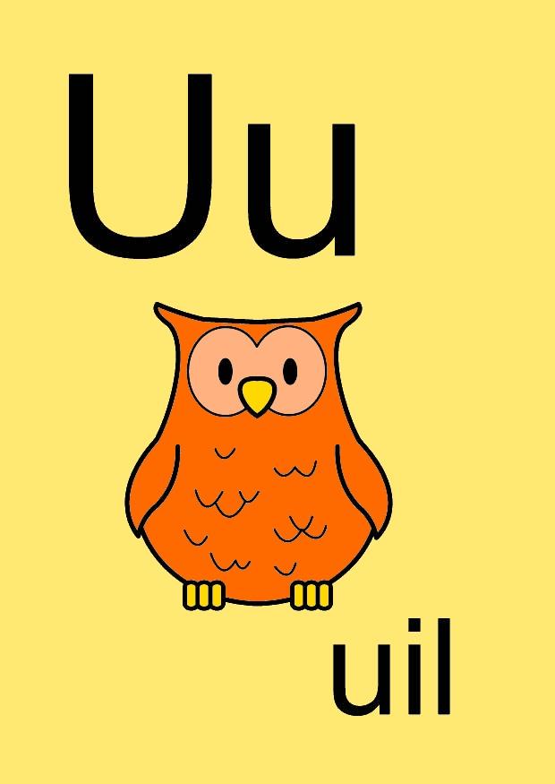 u Image u