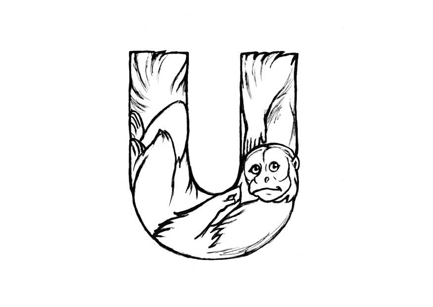 u-uakari Coloriage u-uakari