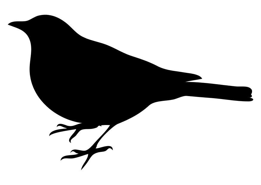 un oiseau Coloriage un oiseau