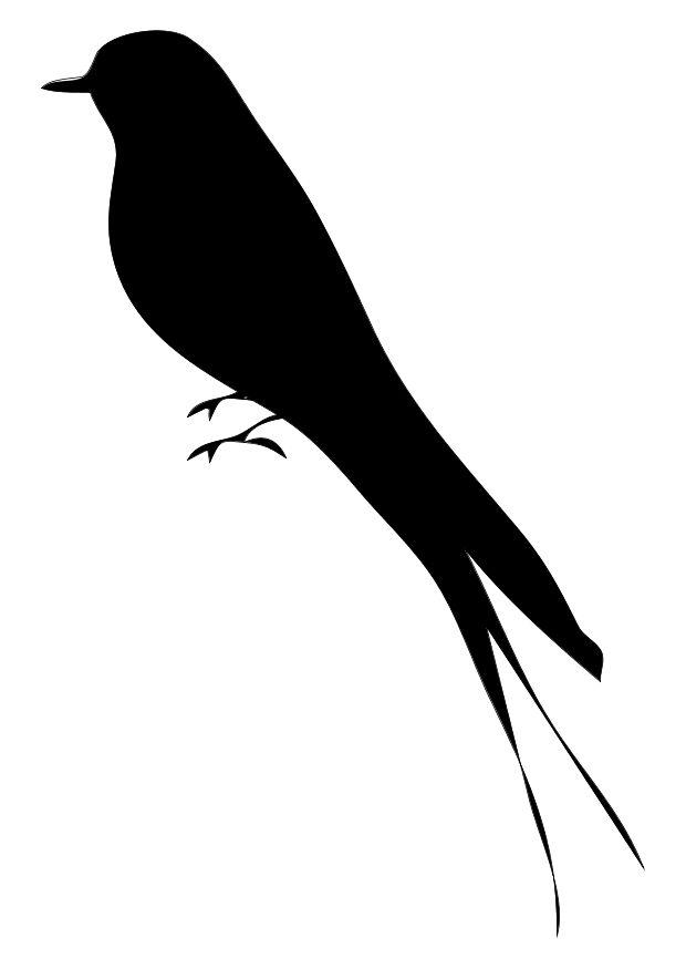 un oiseau Coloriage un oiseau