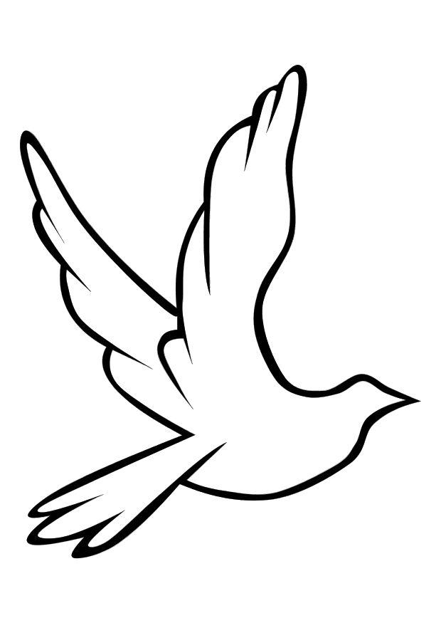 un pigeon Coloriage un pigeon