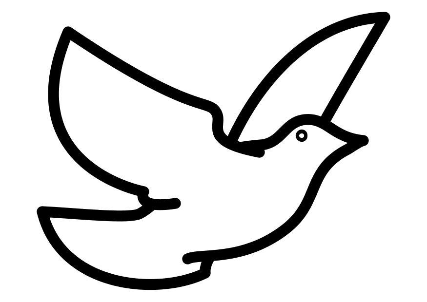 un pigeon Coloriage un pigeon