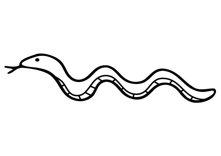 un serpent Coloriage un serpent