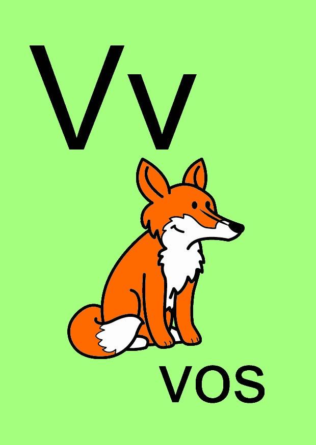 v Image v