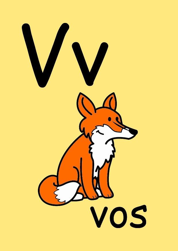 v Image v