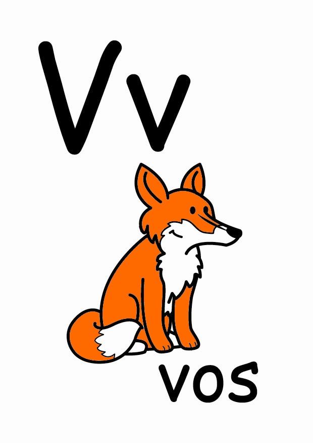 v Image v