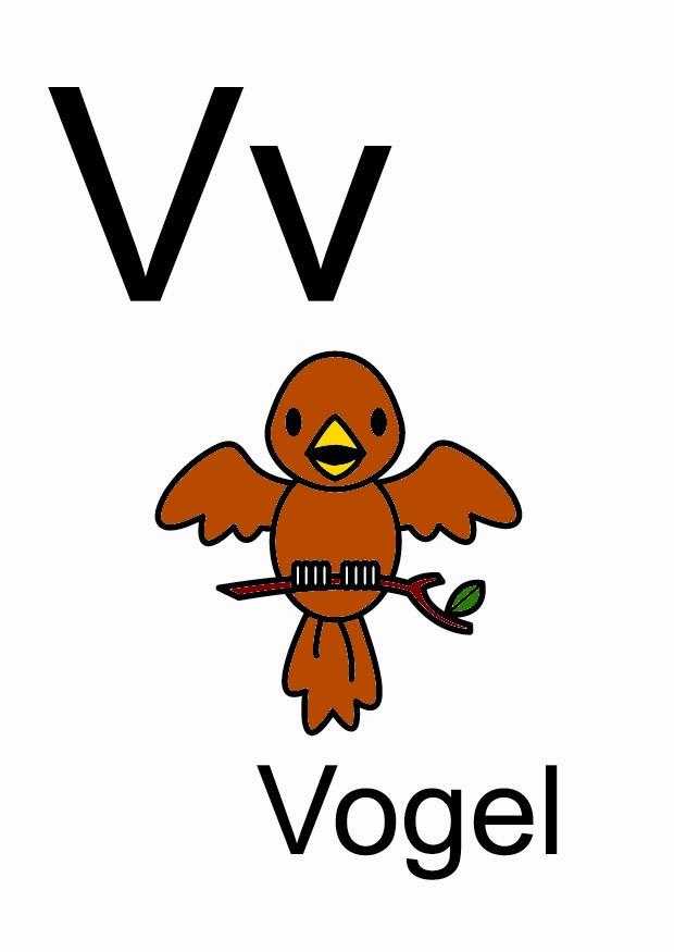 v Image v