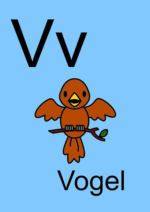 v Image v