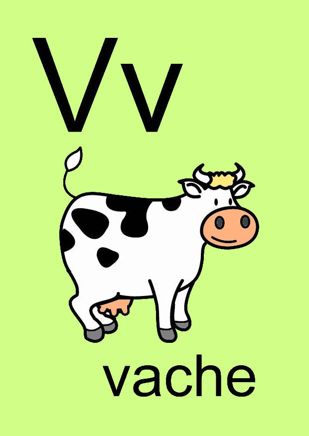 v Image v