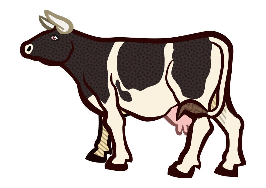 vache Image vache