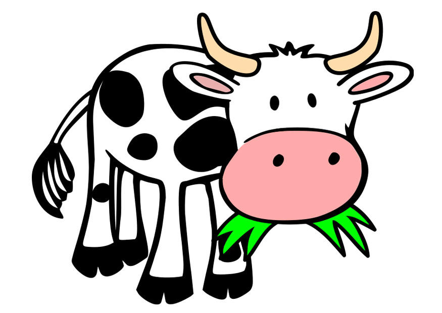 vache Image vache