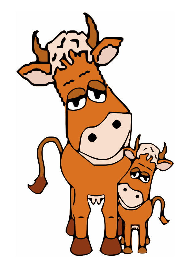 vache mA¨re et veau Image vache mA¨re et veau