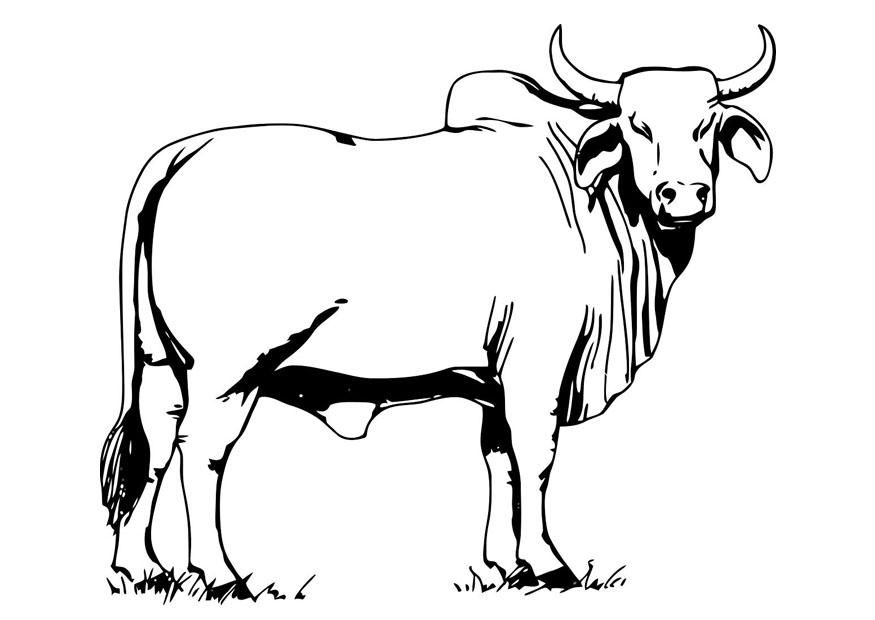 vache sacrA©e Coloriage vache sacrA©e