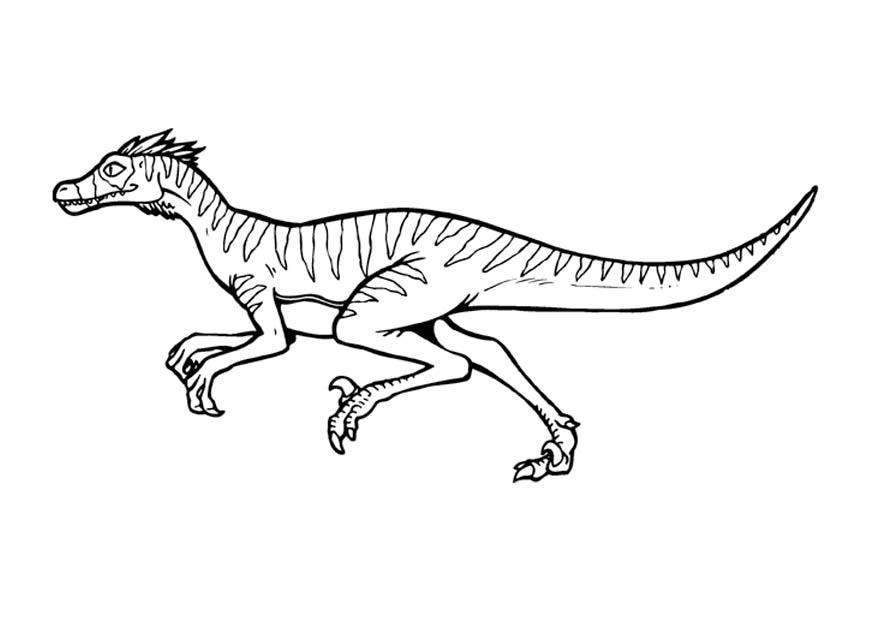 velociraptor Coloriage velociraptor