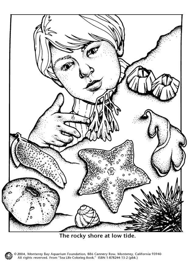 vie sous-marine Coloriage vie sous-marine