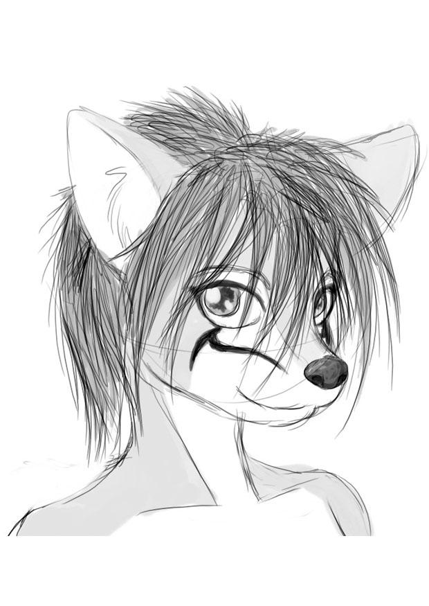 vixes Coloriage vixes