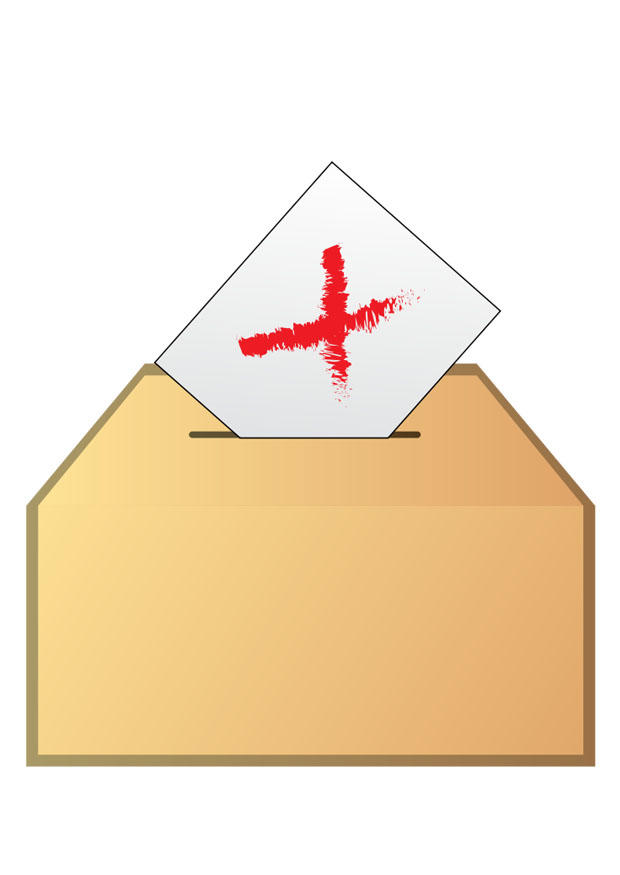 voter - non Image voter - non