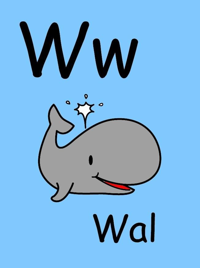 w Image w