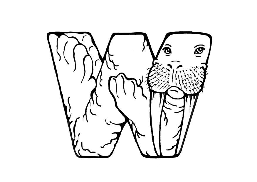 w-walrus Coloriage w-walrus