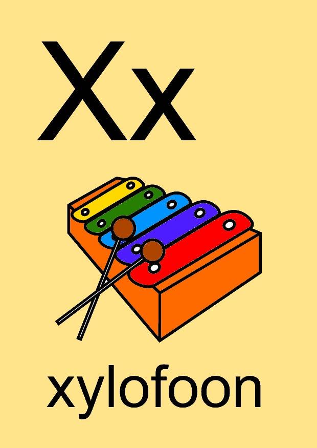 x Image x