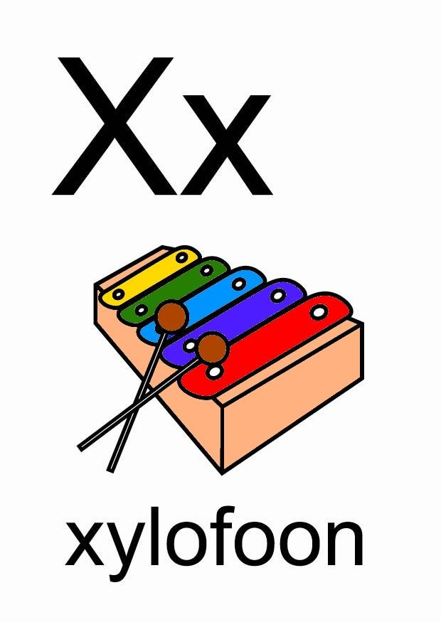 x Image x