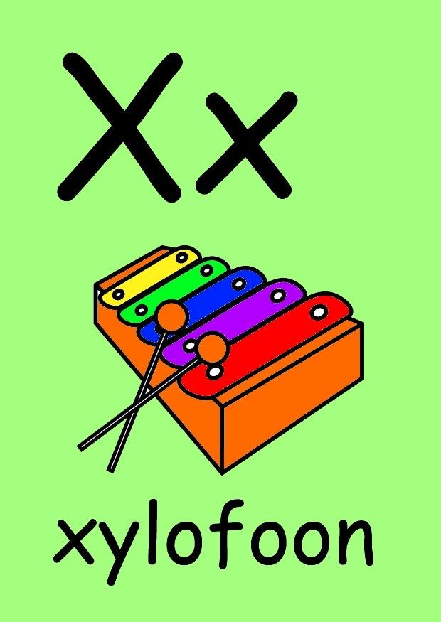x Image x