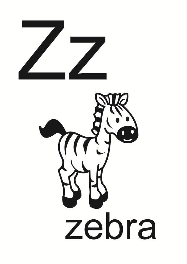 z Image z