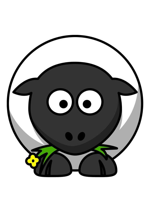 z1-le mouton Image z1-le mouton
