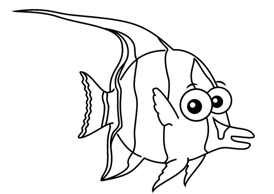 zancle cornu Coloriage zancle cornu