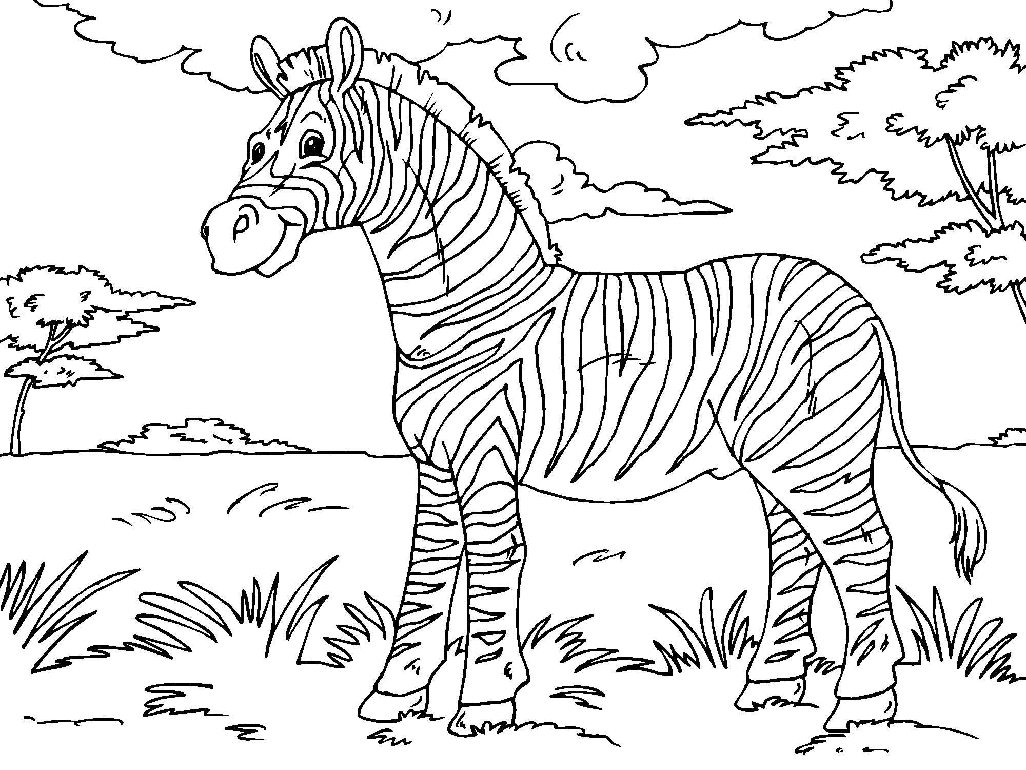 zA¨bre Coloriage zA¨bre