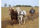 agriculteur labourant un champ