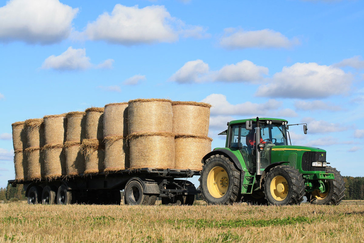 Photo agriculture