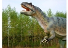 Photo allosaurus