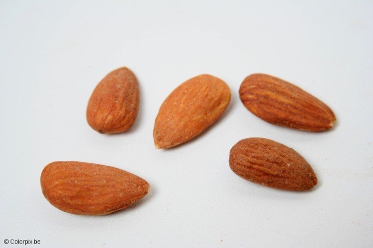 Photo amandes