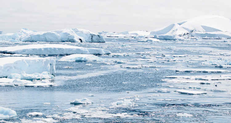 Photo Antarctique