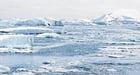 Photo Antarctique