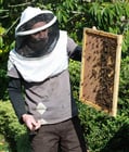 Photos apiculteur