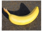 Photo banane
